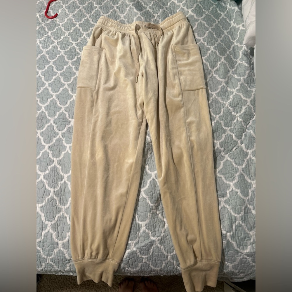 Aerie Beige Velvet Jogger Pants